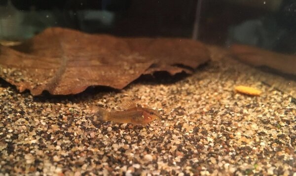 2018-02-02 15.18.37.jpg