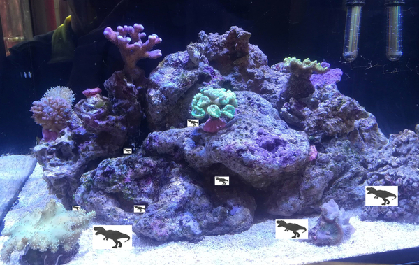 2018-02-26 12.19.32.jpg