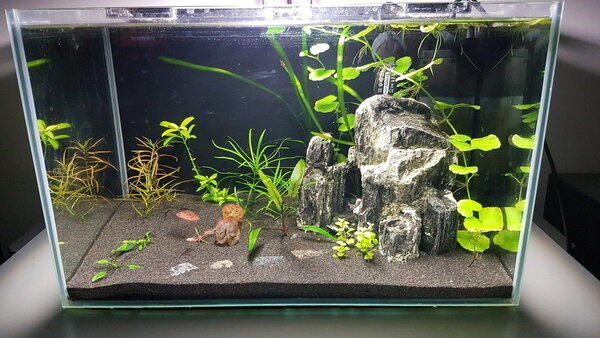 2018-03-11 21.41.26.jpg