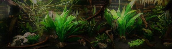 2018-03-13 09_2.jpg