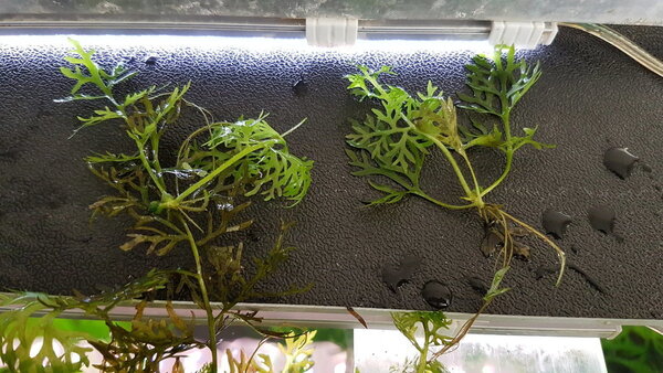 2018-03-19 14.07.39.jpg