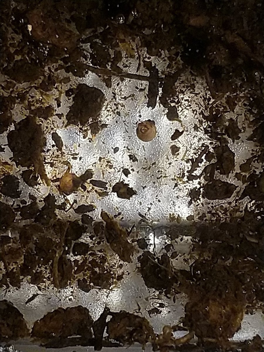 2018-03-20 19.55.31.jpg