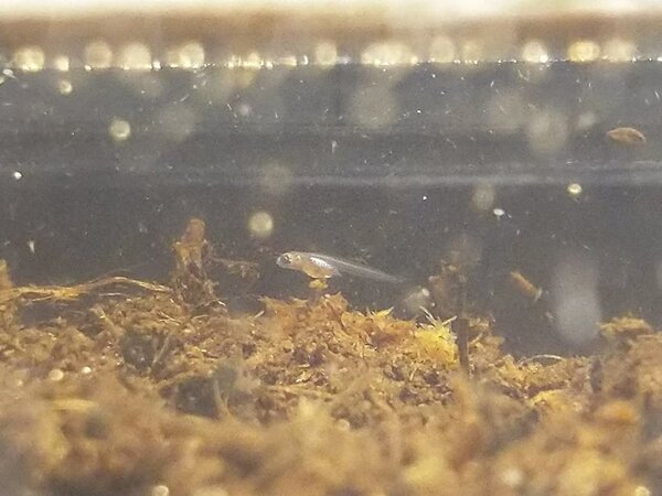 2018-03-22 19.35.03.jpg