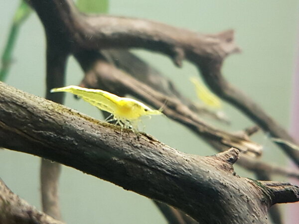 2018-03-28 14.42.36.jpg