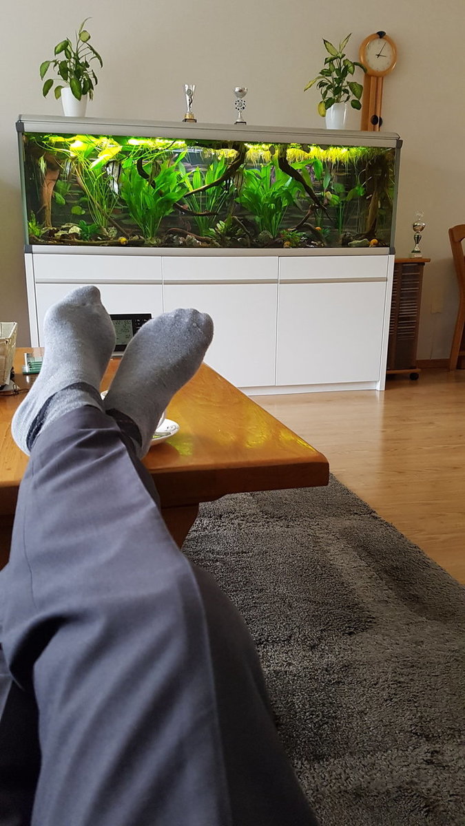 2018-12-03 15.05.43.jpg