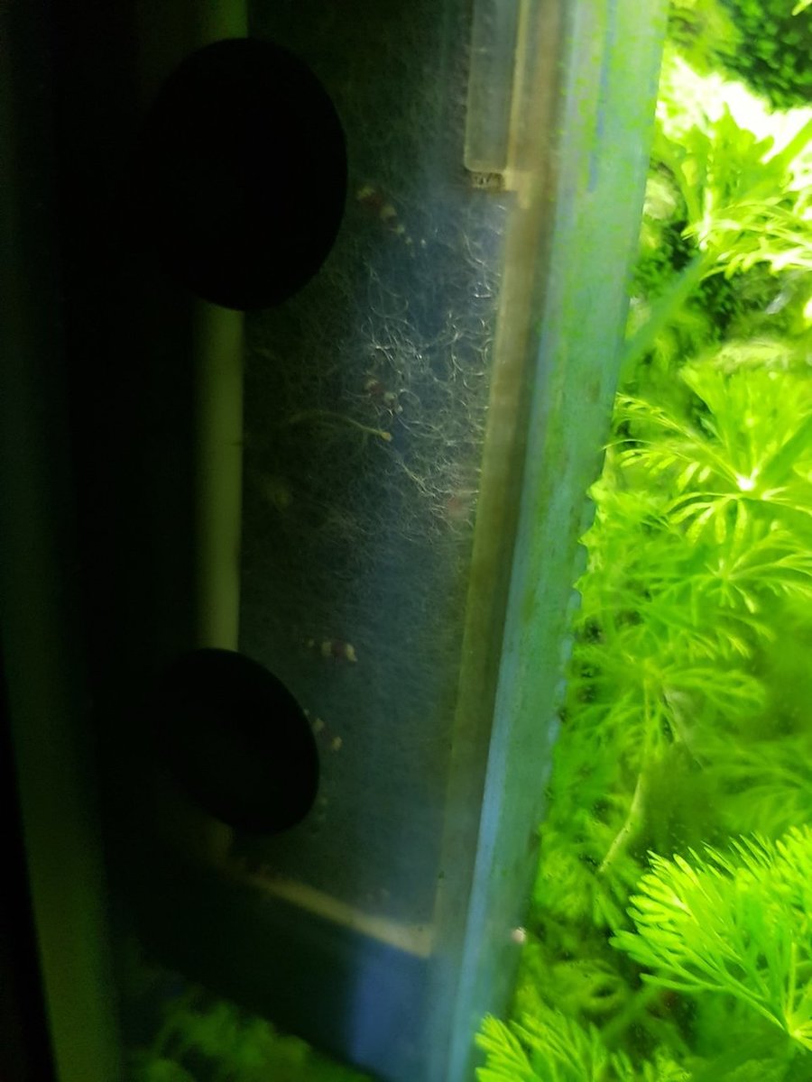 20180103_214422.jpg
