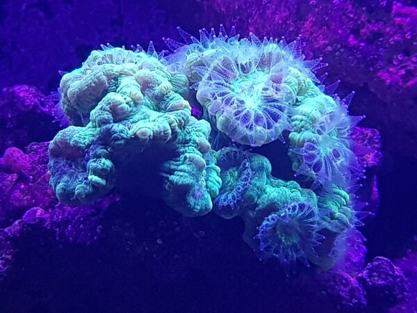 20180104_224822.jpg