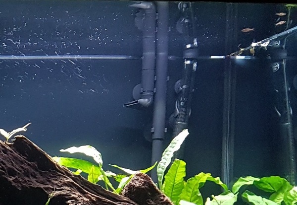 20180105_190730 (1).jpg