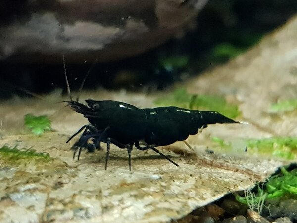 20180109_192819.jpg
