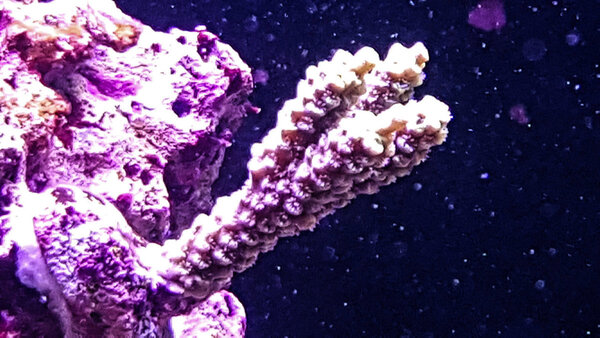 20180113_122923-2.jpg
