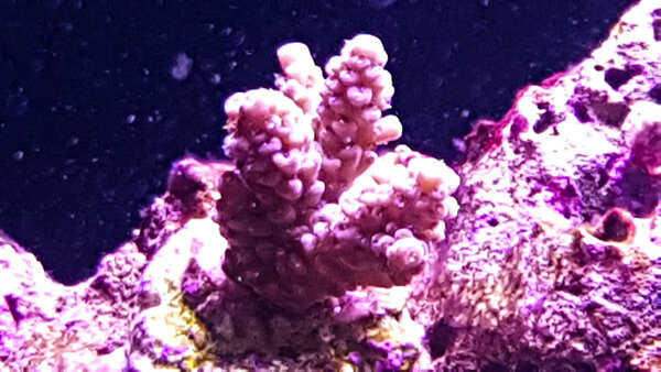 20180113_122942-2.jpg
