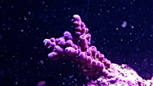 20180113_122946-2.jpg