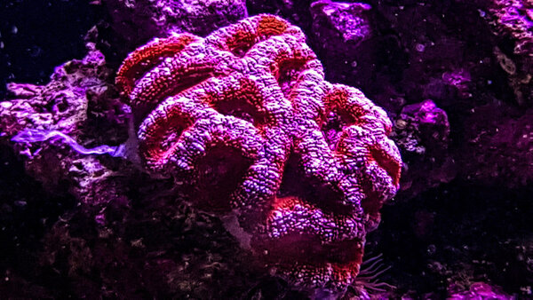 20180113_123002-2.jpg