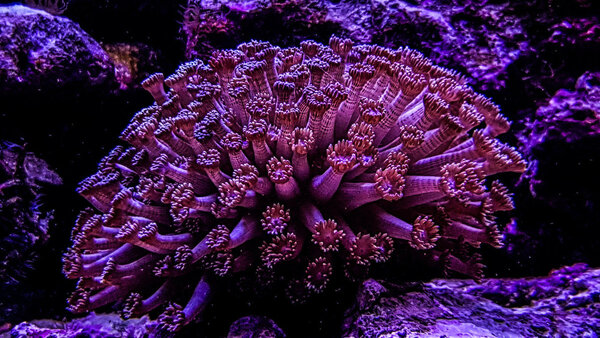 20180113_123210-2.jpg