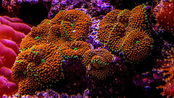 20180113_123503-2.jpg