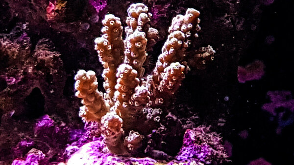 20180113_123545-2.jpg