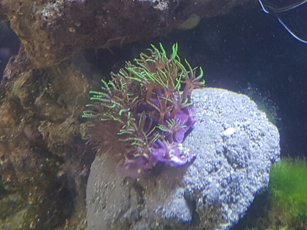 20180121_131604.jpg