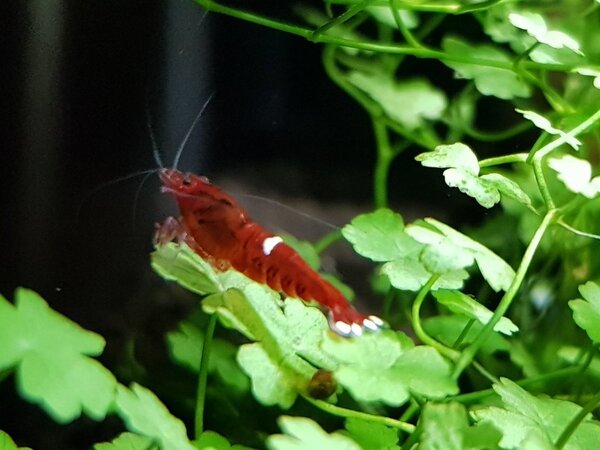 20180202_204732.jpg