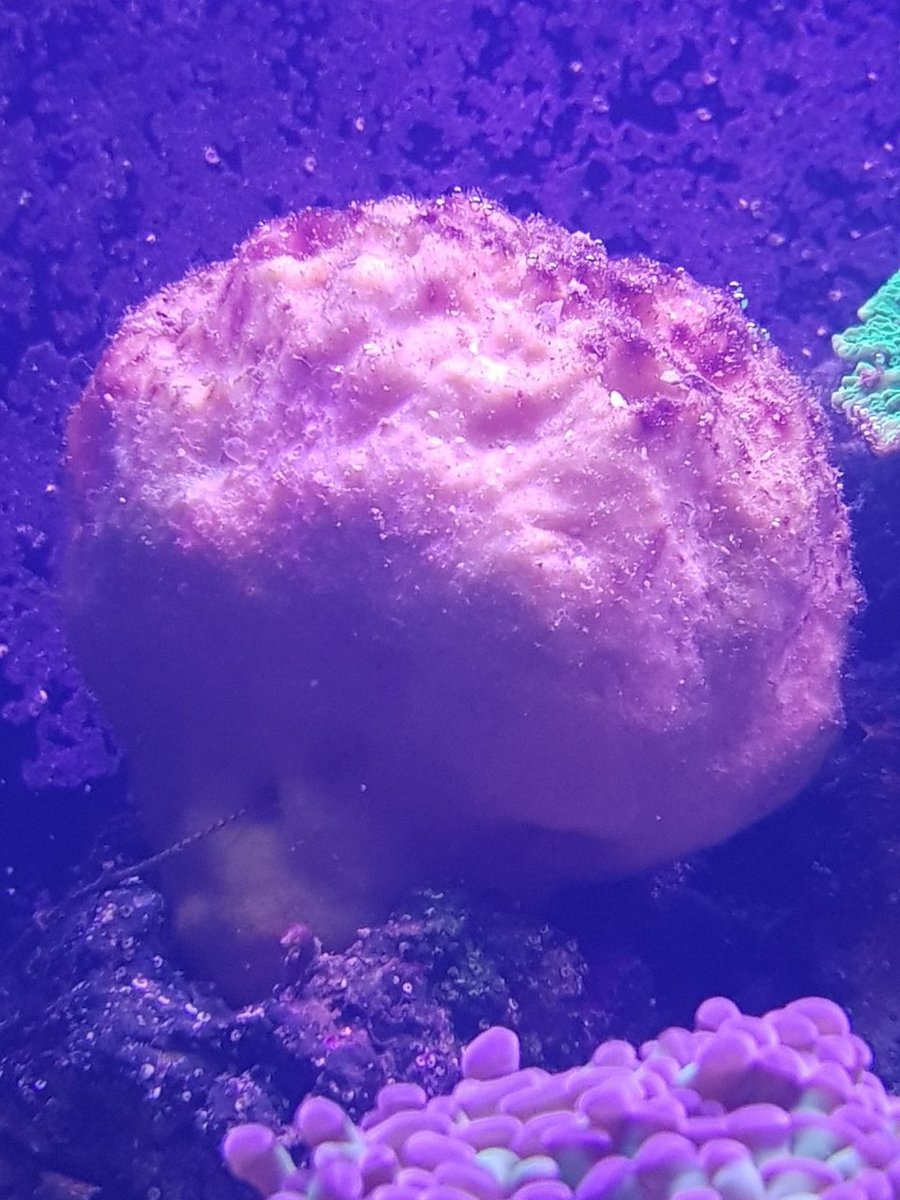 20180204_221910.jpg