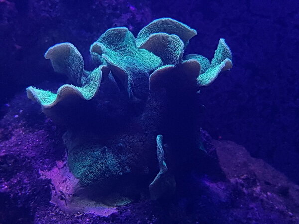 20180204_222046.jpg