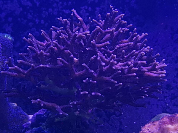 20180204_222057.jpg