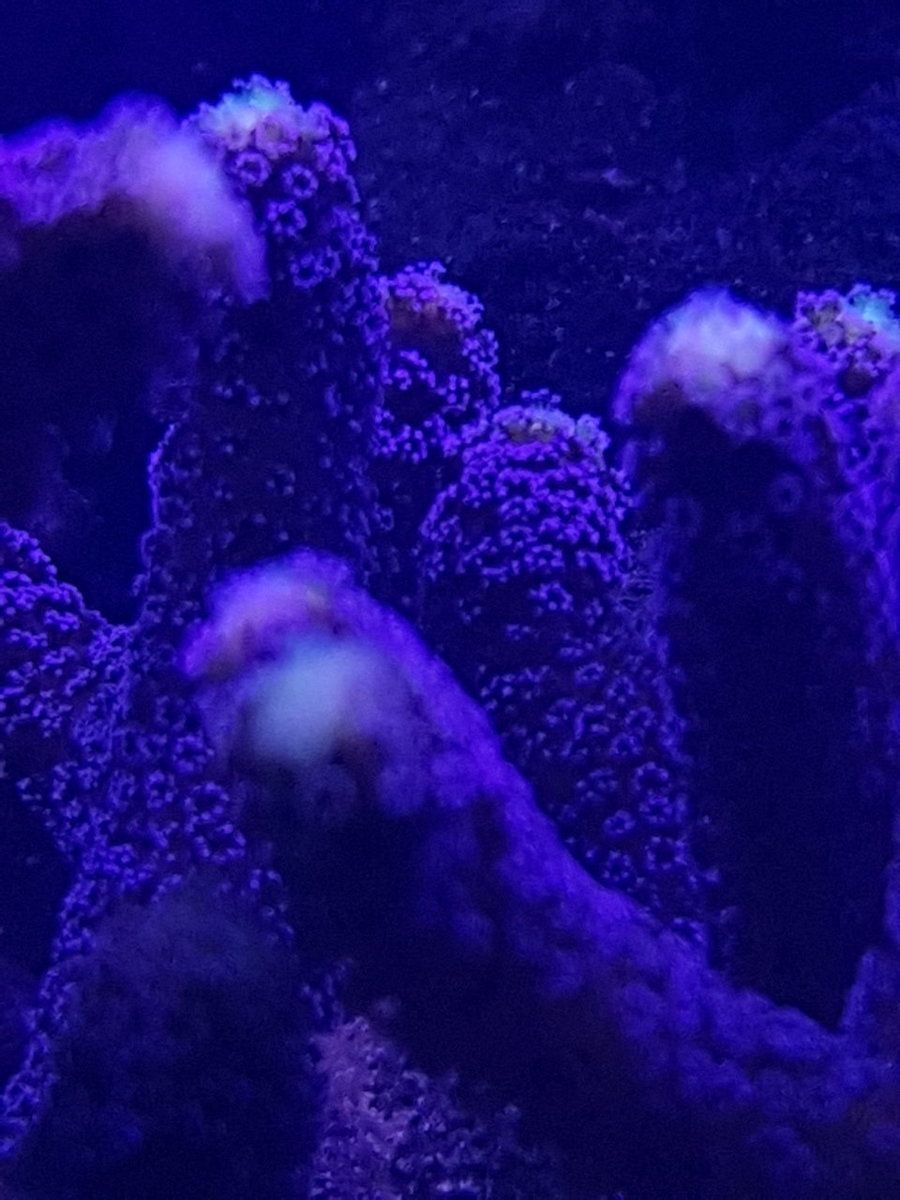 20180204_222150.jpg