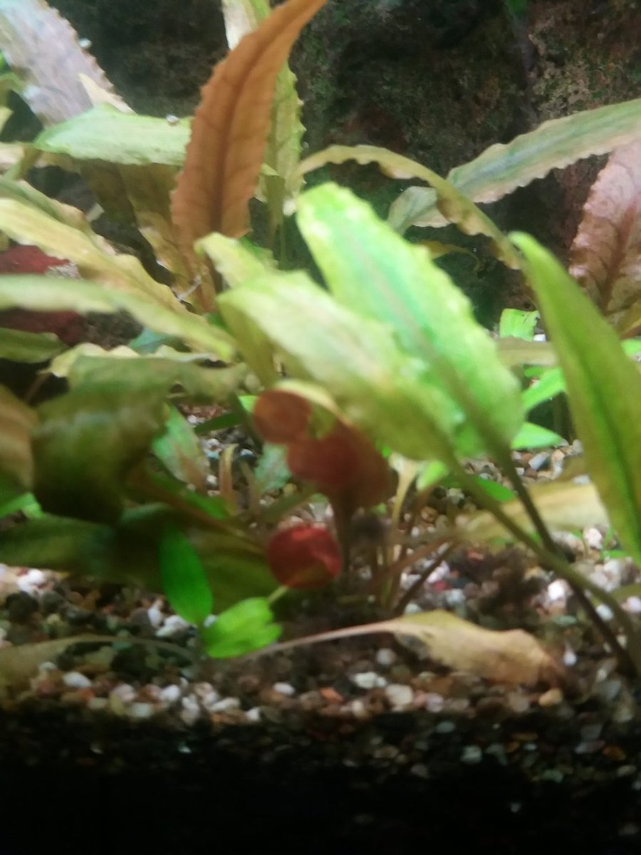20180209_212048.jpg