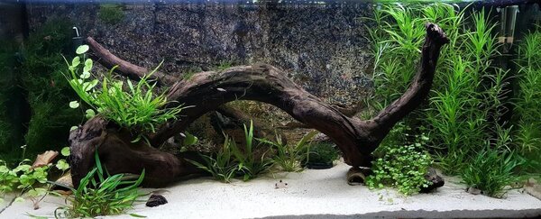 20180213_215231.jpg