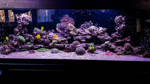 20180217_155426-2.jpg