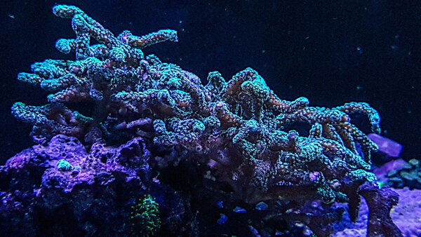 20180217_212117-2.jpg