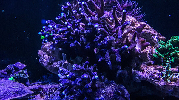20180217_212140-2.jpg