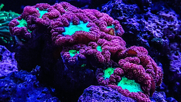 20180217_212303-2.jpg
