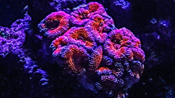 20180217_212414-2.jpg