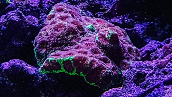 20180217_212555-2.jpg