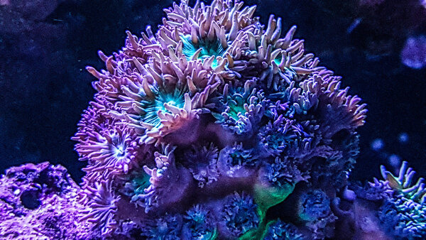 20180217_212626-2.jpg