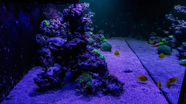 20180217_212751-2.jpg