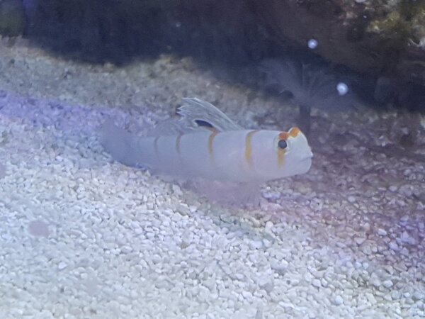 20180219_191243.jpg