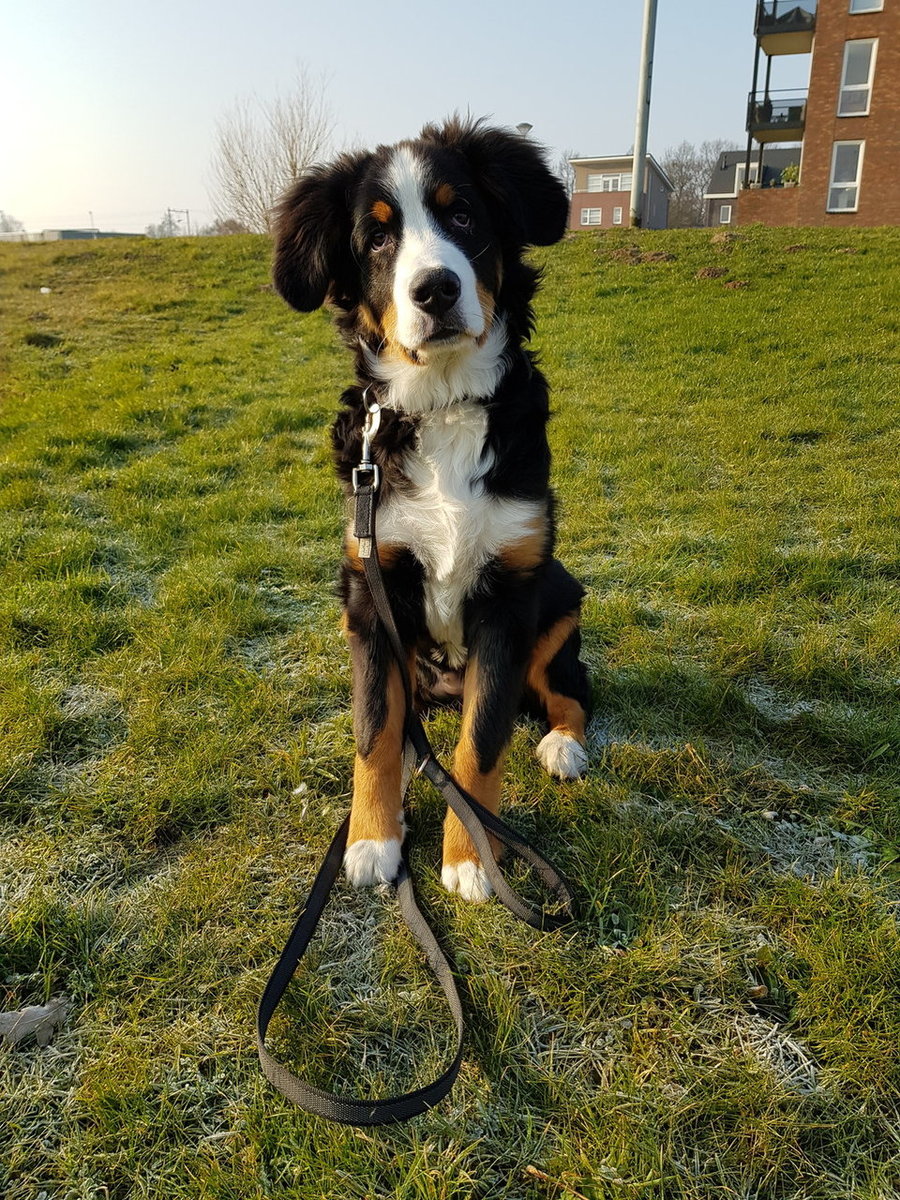 20180221_093836.jpg