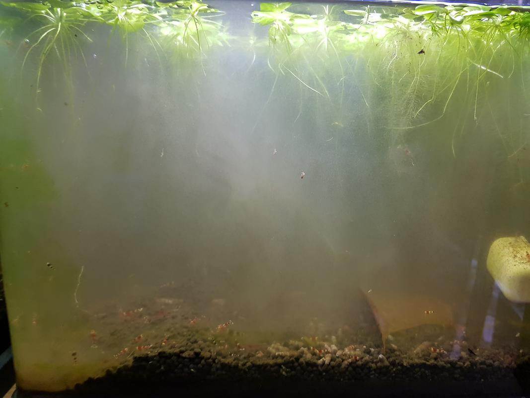 20180224_174857.jpg