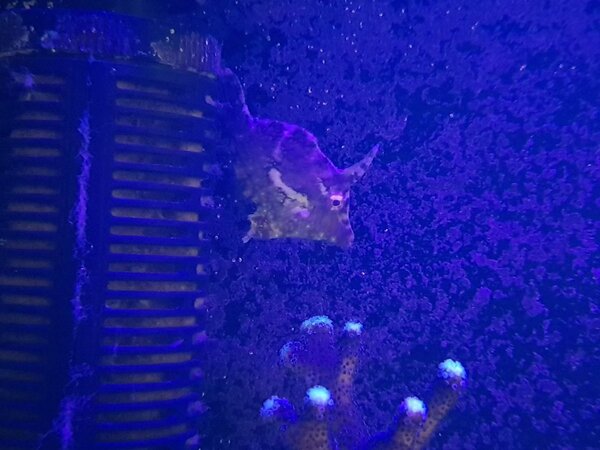 20180224_233710.jpg
