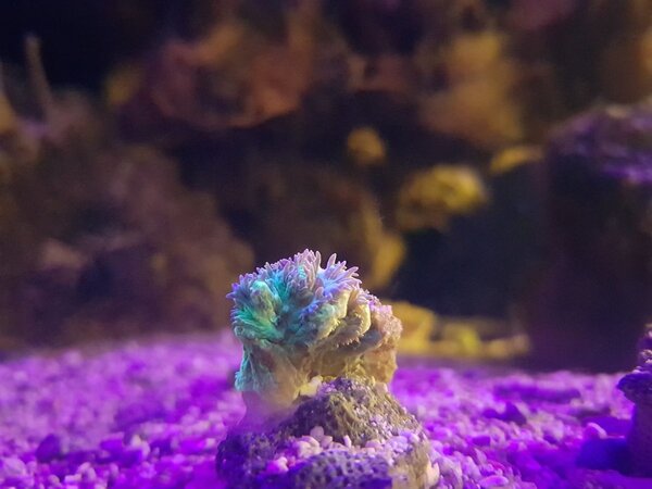 20180224_233834.jpg