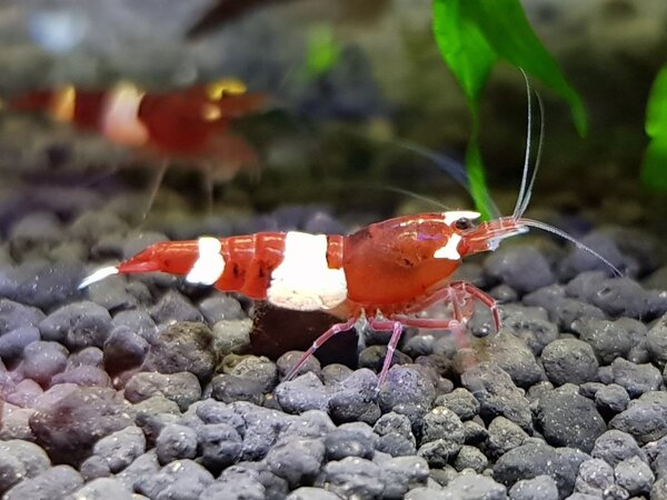 20180225_134807.jpg