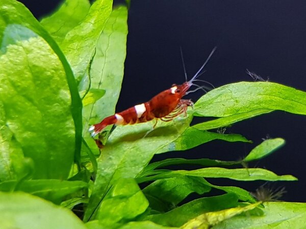 20180225_163028.jpg
