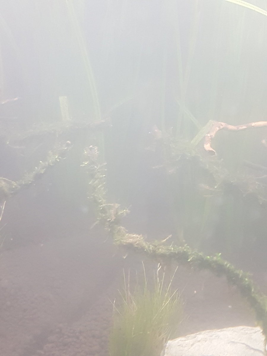 20180225_191645.jpg