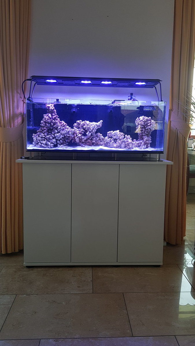 20180228_160223.jpg