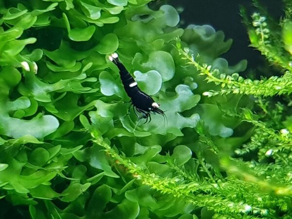 20180303_193934.jpg