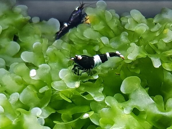 20180303_193955.jpg