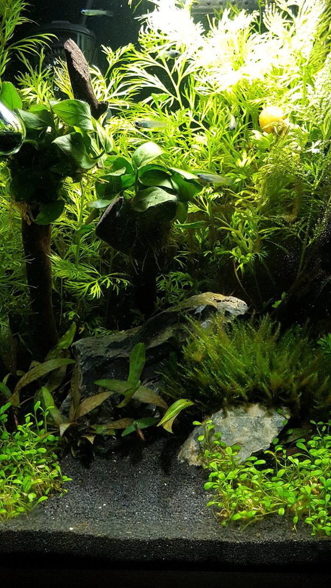 20180304_181547.jpg