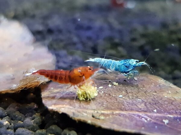20180305_212056.jpg