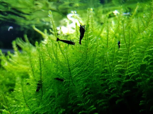 20180305_212631.jpg